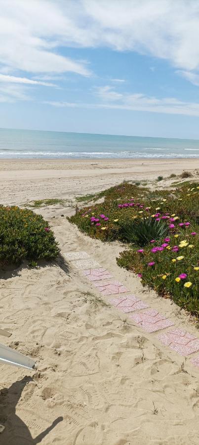Casa Roberto Beach Torvaianica Bagian luar foto